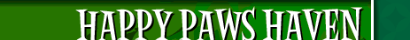 Happy Paws Haven