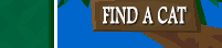 Find A Cat