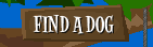 Find A Dog