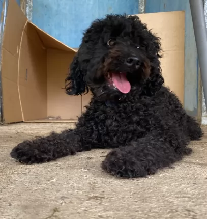 1 of 3
