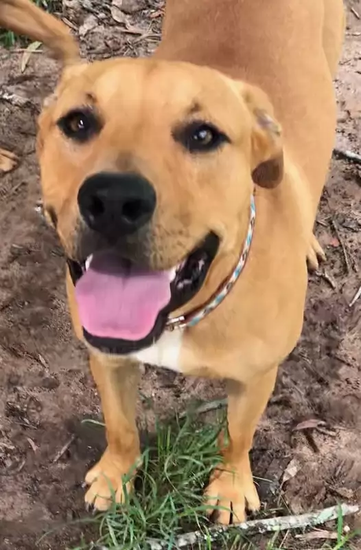 Jack Scar known as Jax