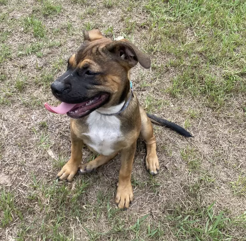 Coco