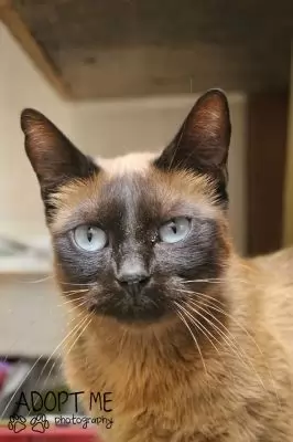 Alma