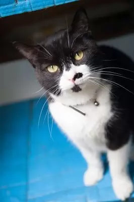 Charlie2