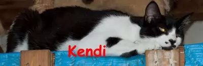 Kendi