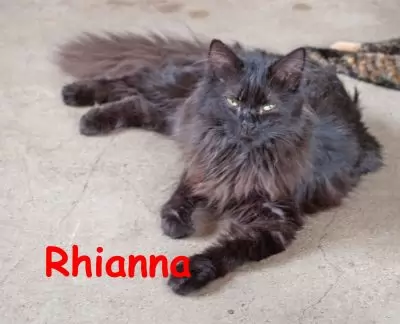 Rhianna