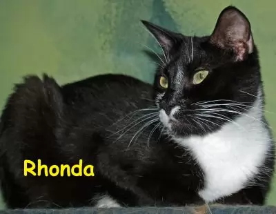 Rhonda