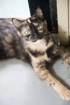 Rita