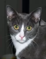RUBEN