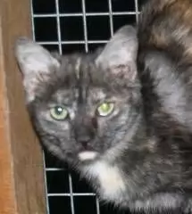 YUKI very affectionate and loving