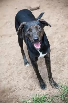 Audrey - deposit taken