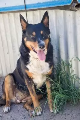 Chloe