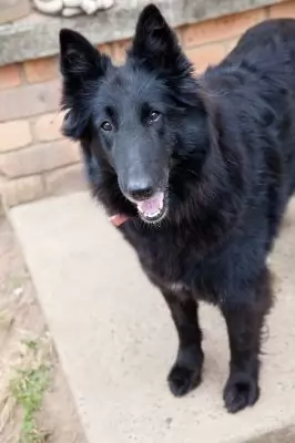 Ella