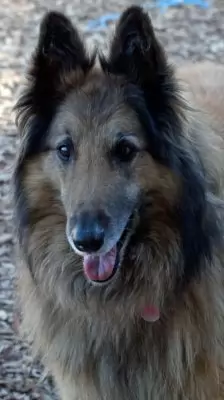 Gabby
