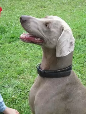 Indiana