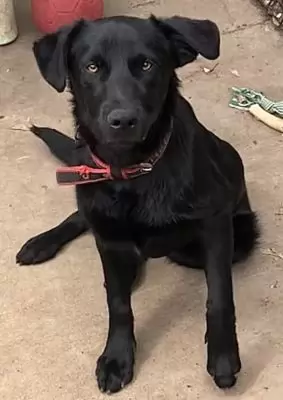 Jem