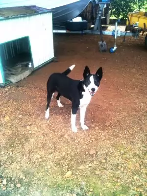 Kal