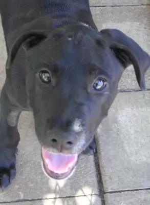 Karla