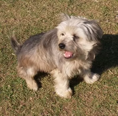 Lucy
