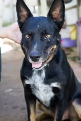 Marco