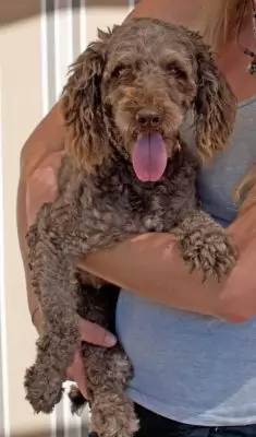 Milo