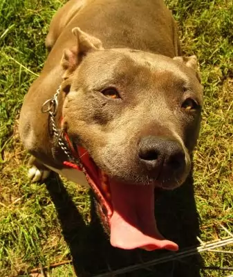Nakia
