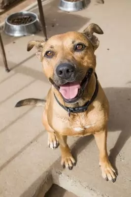 Narla