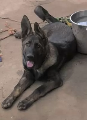Odin