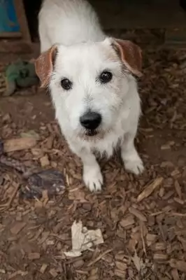 RJ