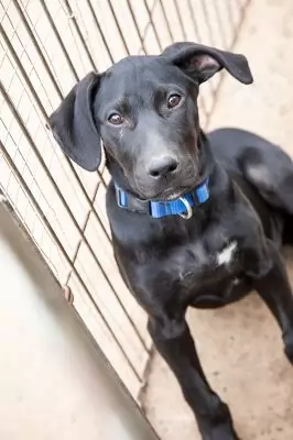 storm - on hold pending adoption
