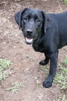 Vada aka Vi