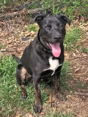 Wally aka Walter