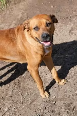 Xena