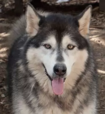 Zeus2