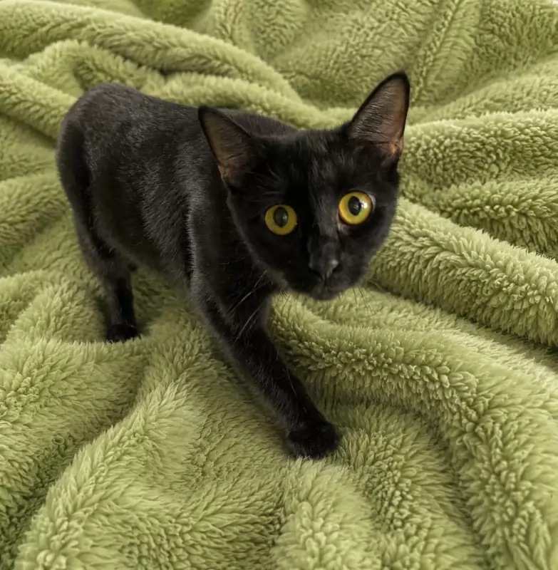 Slinky