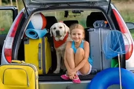 THE ULTIMATE GUIDE FOR TRAVELLING WITH PETS