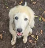 Rosey's Story